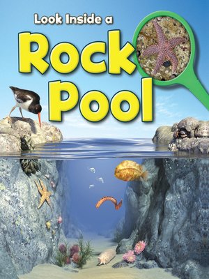 cover image of Rock Pool